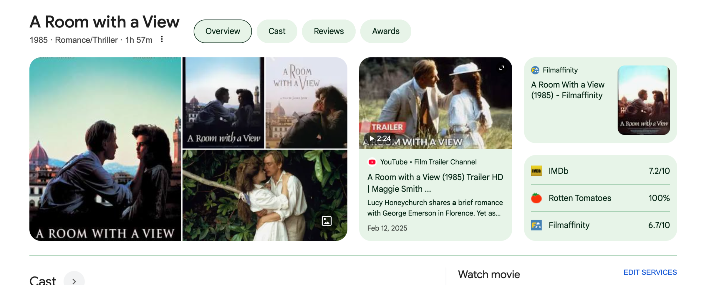 Thumbnail of Google Search