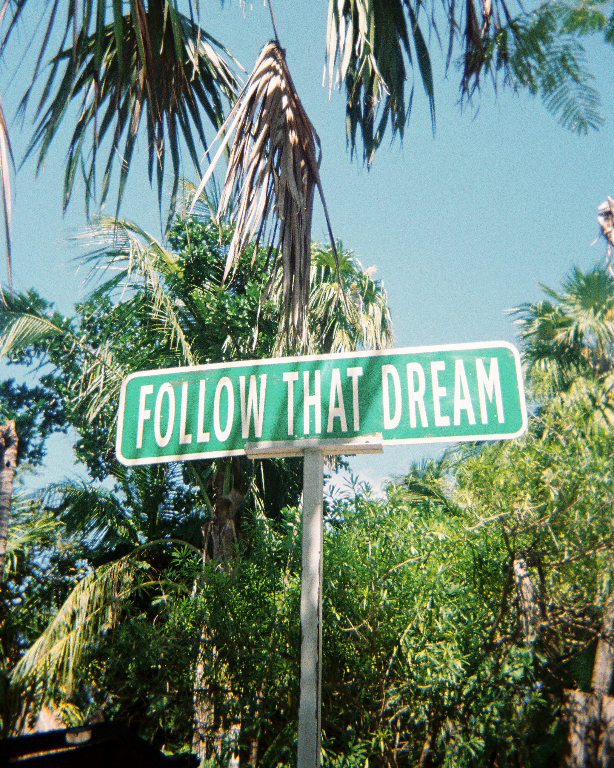 Preview of streetsign-jpeg