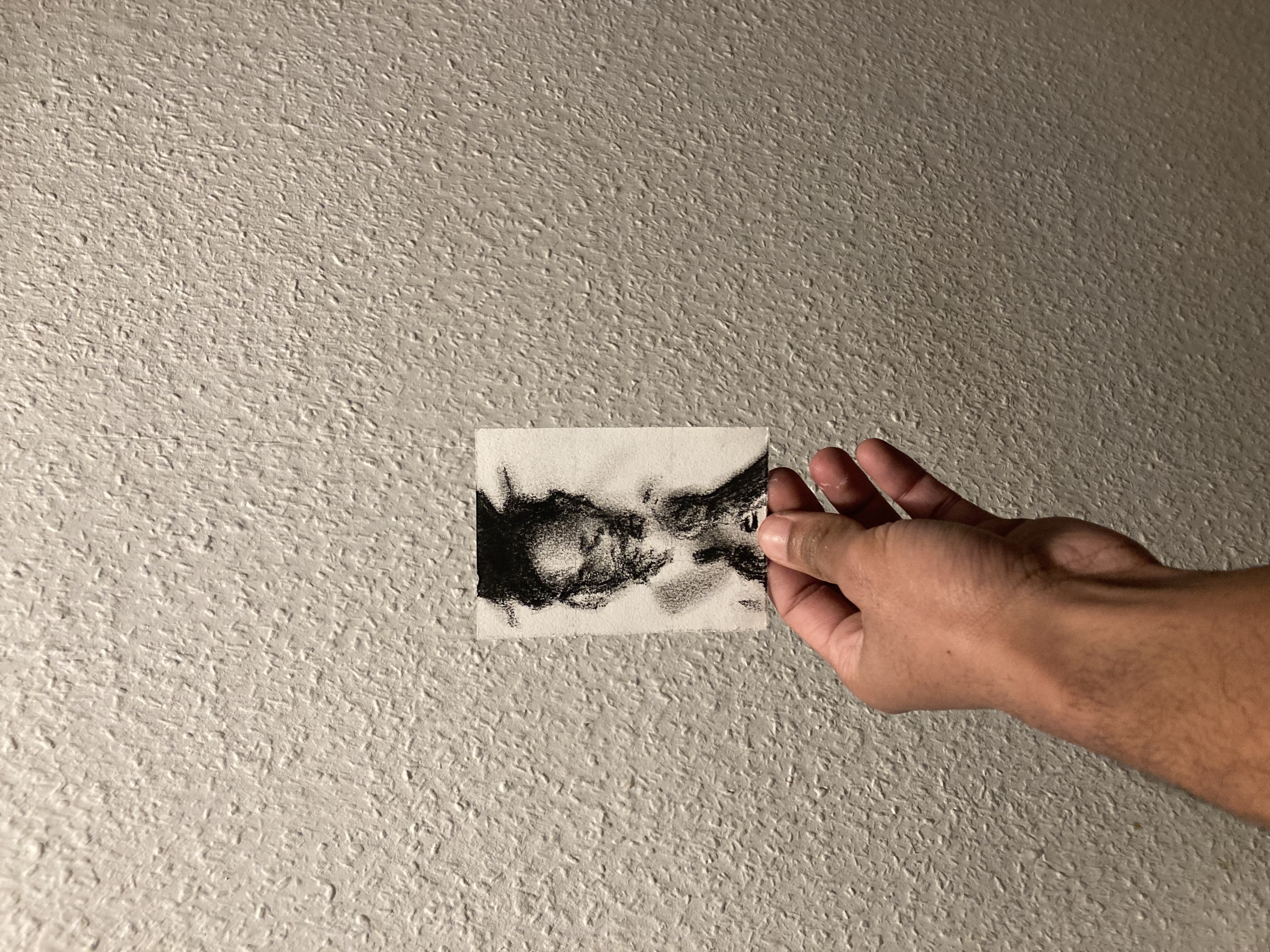 Preview of 3896-jpeg-ada43b17aef549f9