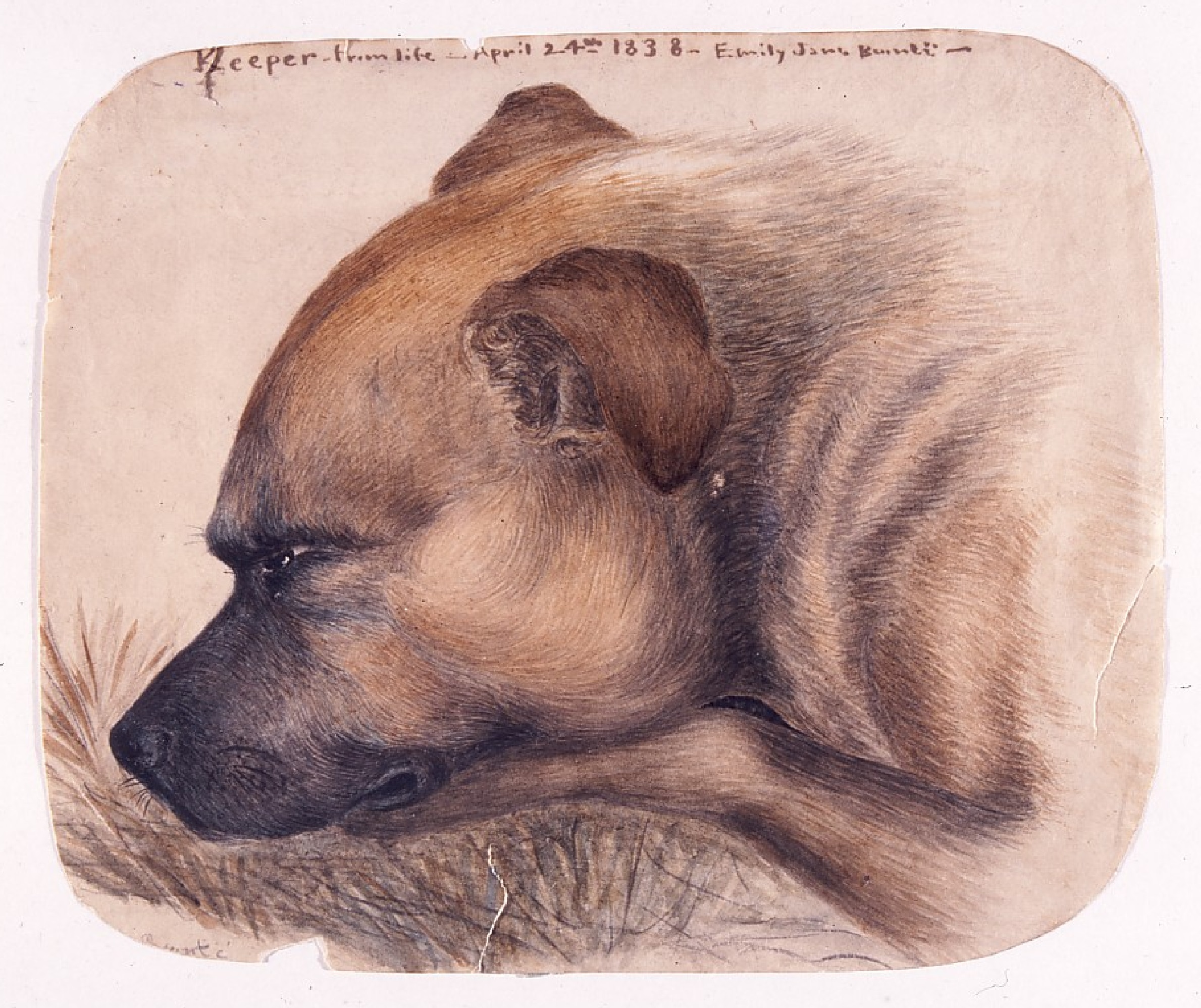 Preview of 8105-jpeg