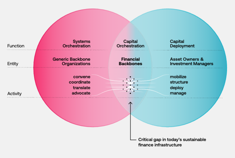 Thumbnail of 250906_financial-backbones_final_250dpi.pdf