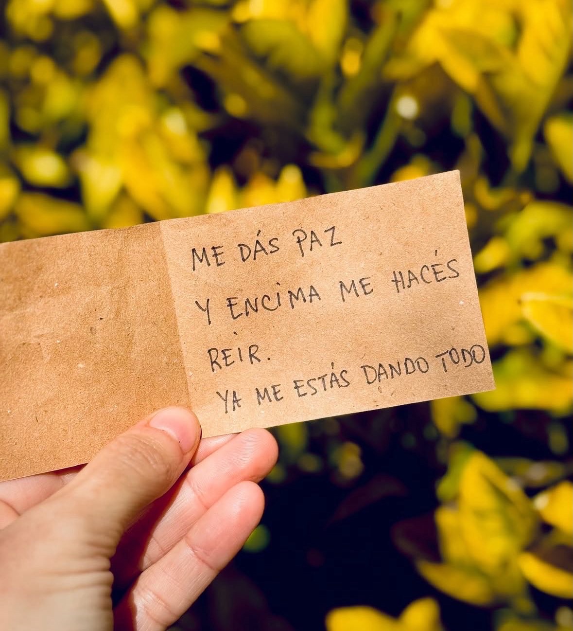 Preview of b4aa1628eb41-jpg