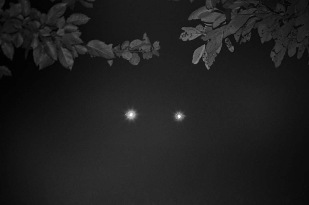 Preview of mfpim2flzjuf1-jpeg