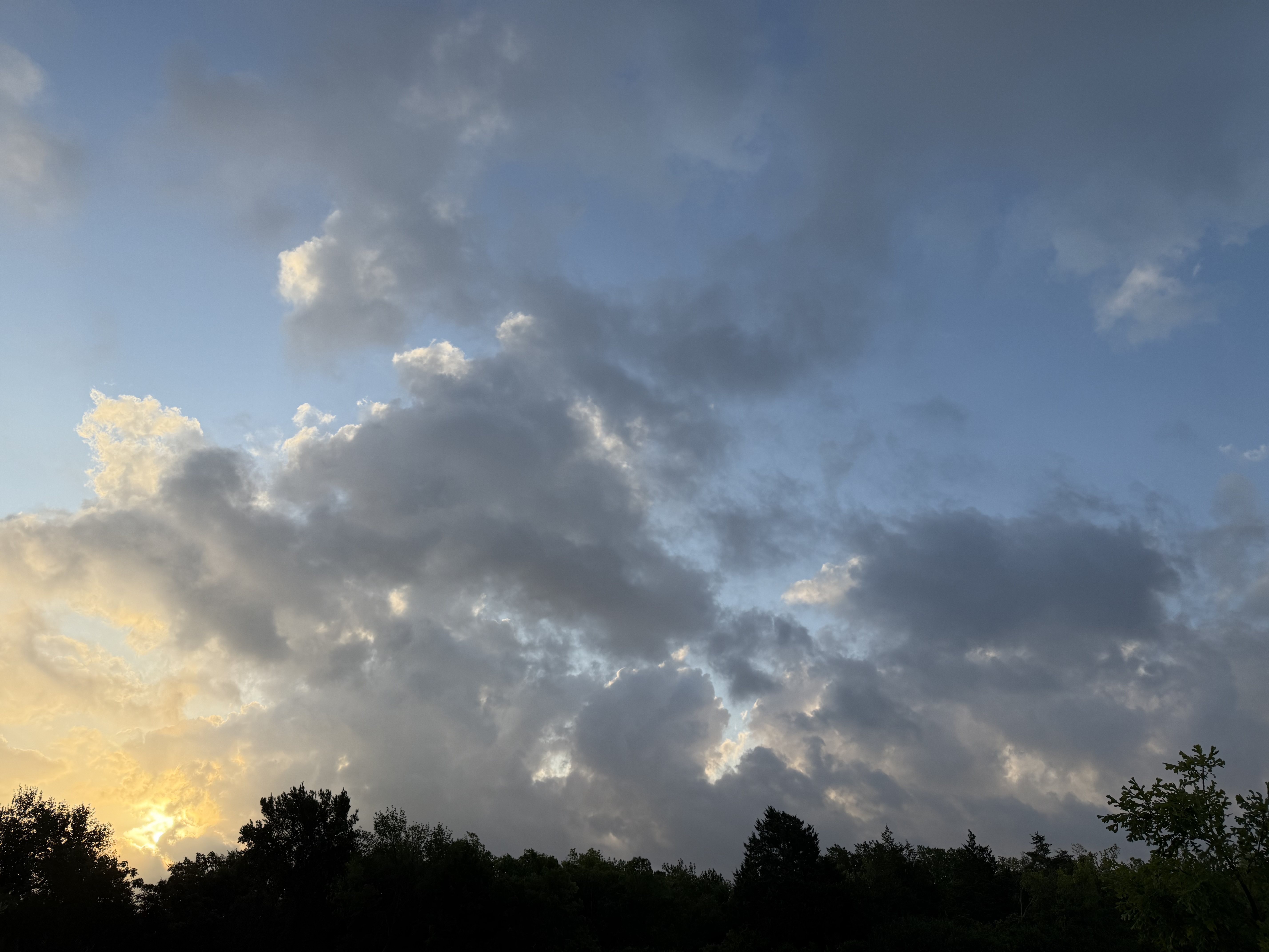 Preview of 2117-jpg-5d64697e57c84805