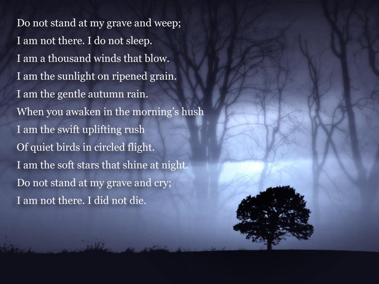 Preview of 1732810456992-jpeg