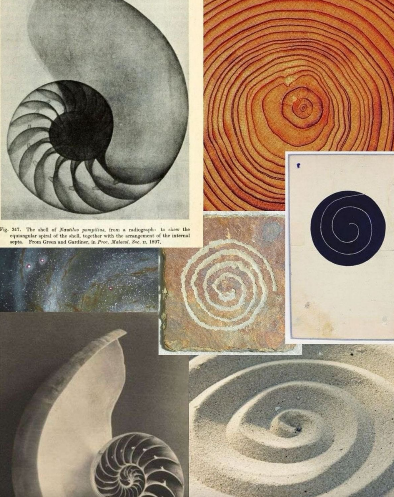 Thumbnail of mae (@luckiestgirl13)