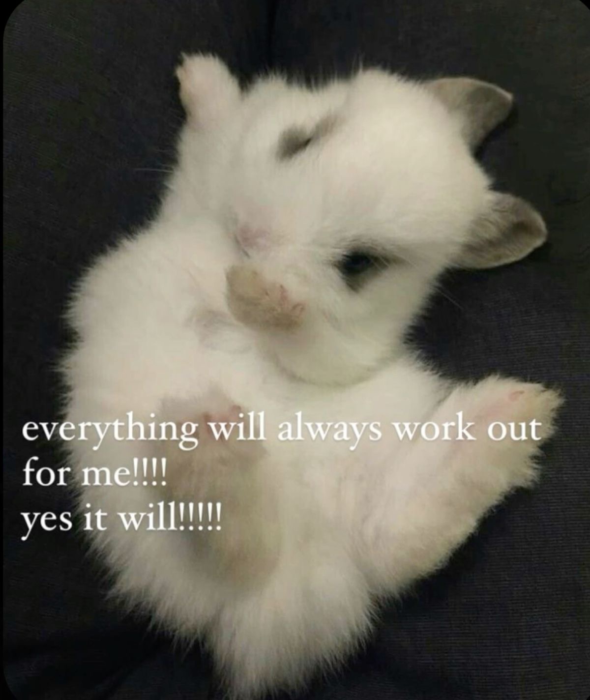 Preview of 0013-jpeg