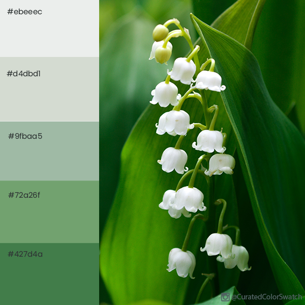 Preview of lilyofthevalleyoceanegeorge-png