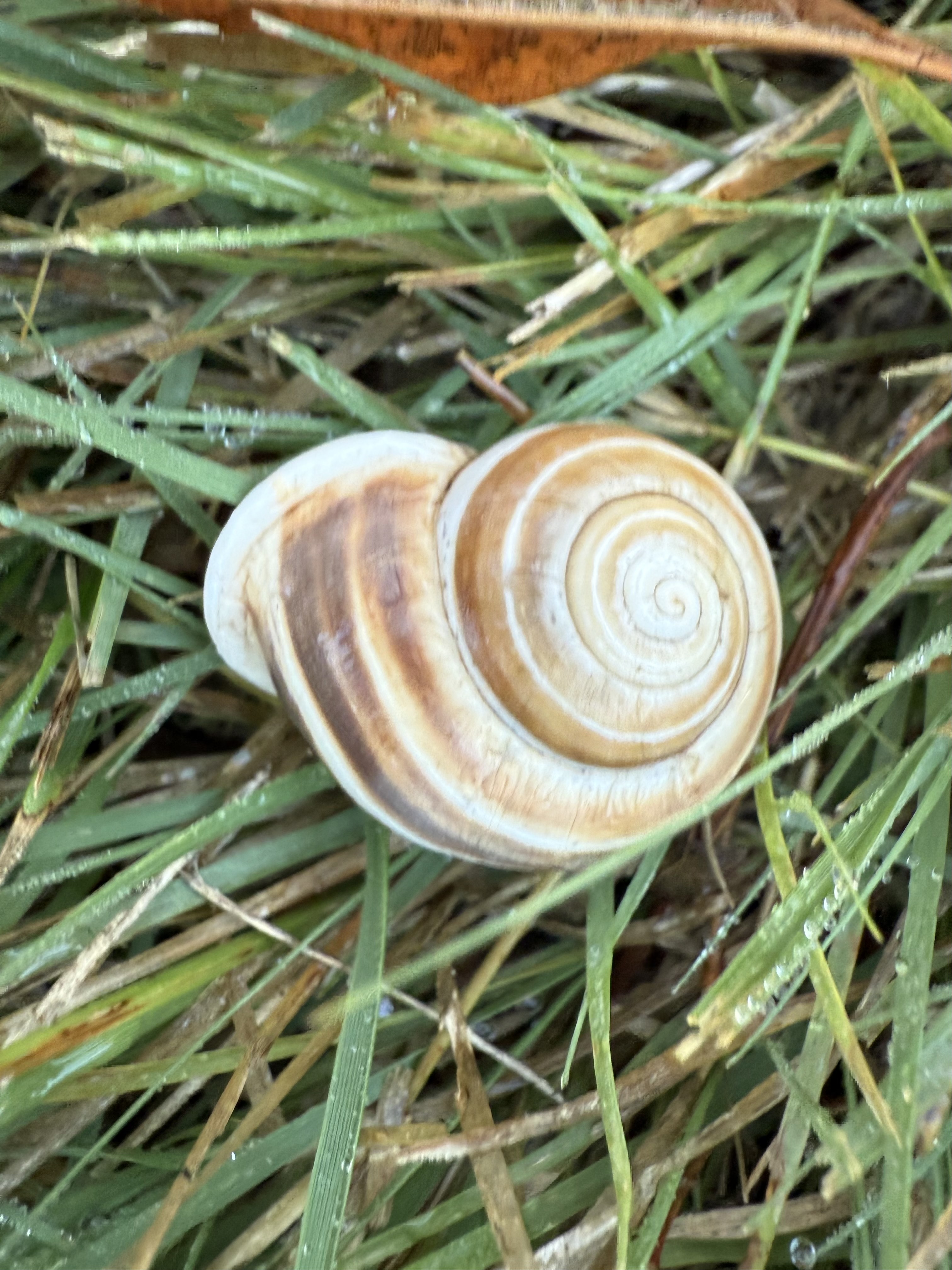 Preview of 5b3c3c6d4aa4-jpg