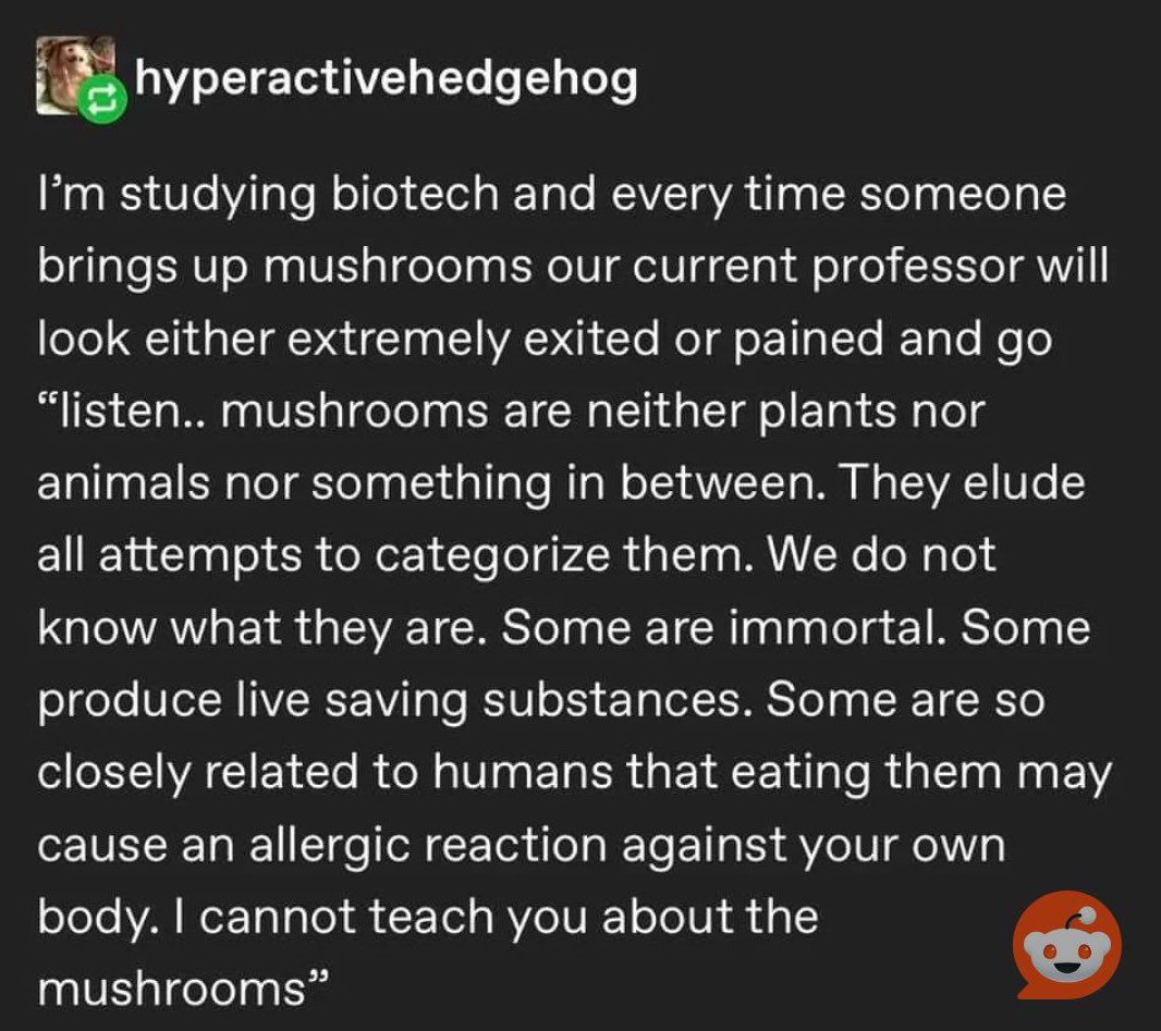 Preview of 49-jpg-be7f145b59f24dd1