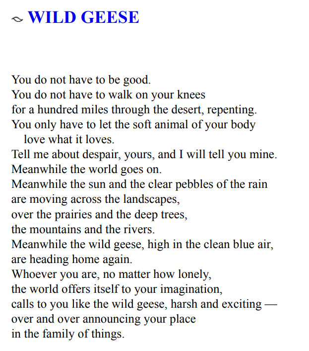 Preview of 112939-png