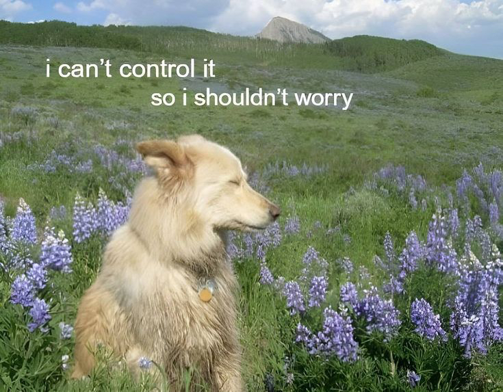 Preview of f07e8f01268f-jpg