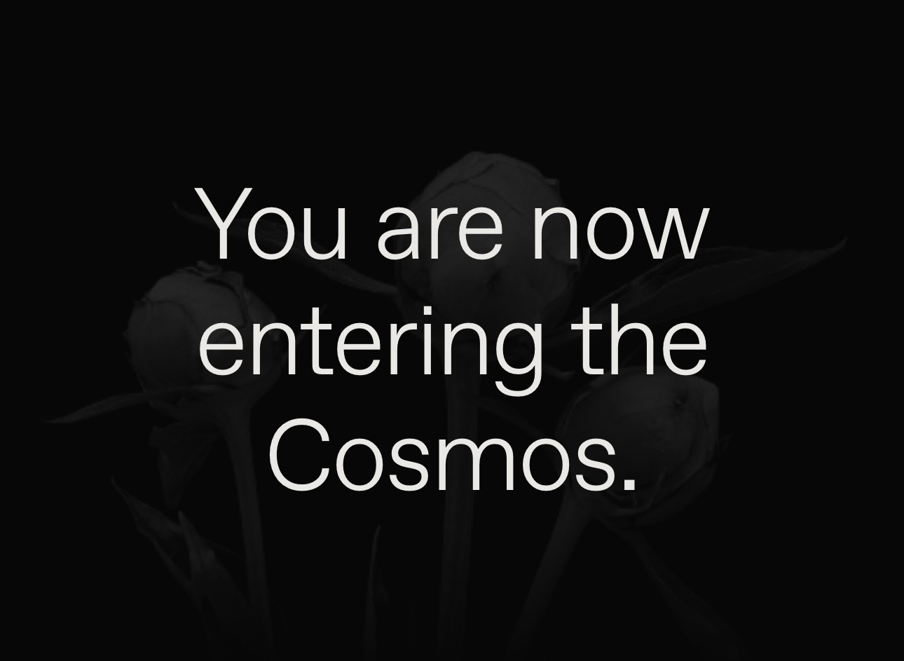 Preview of 1557-jpeg-14081b002c674e23