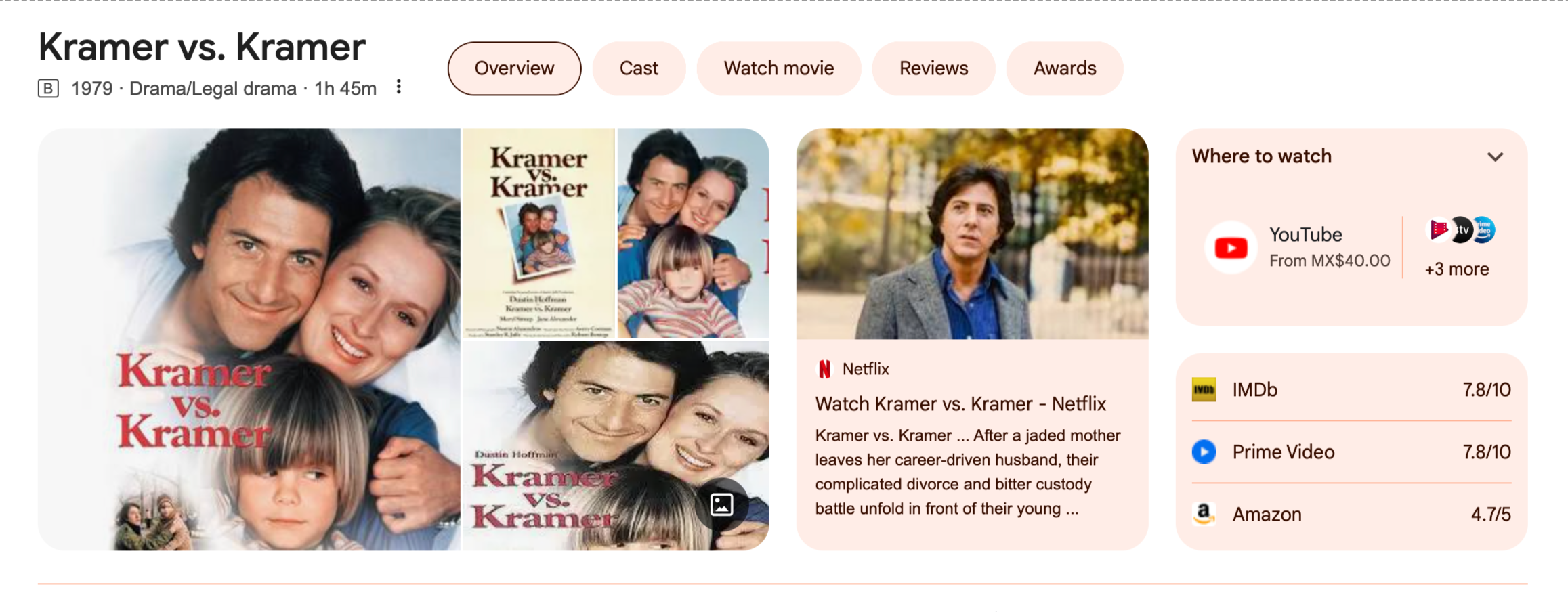 Thumbnail of Google Search