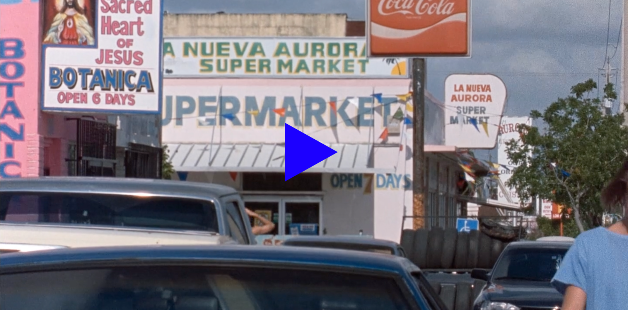 Thumbnail of RIVER OF GRASS a film by KELLY REICHARDT