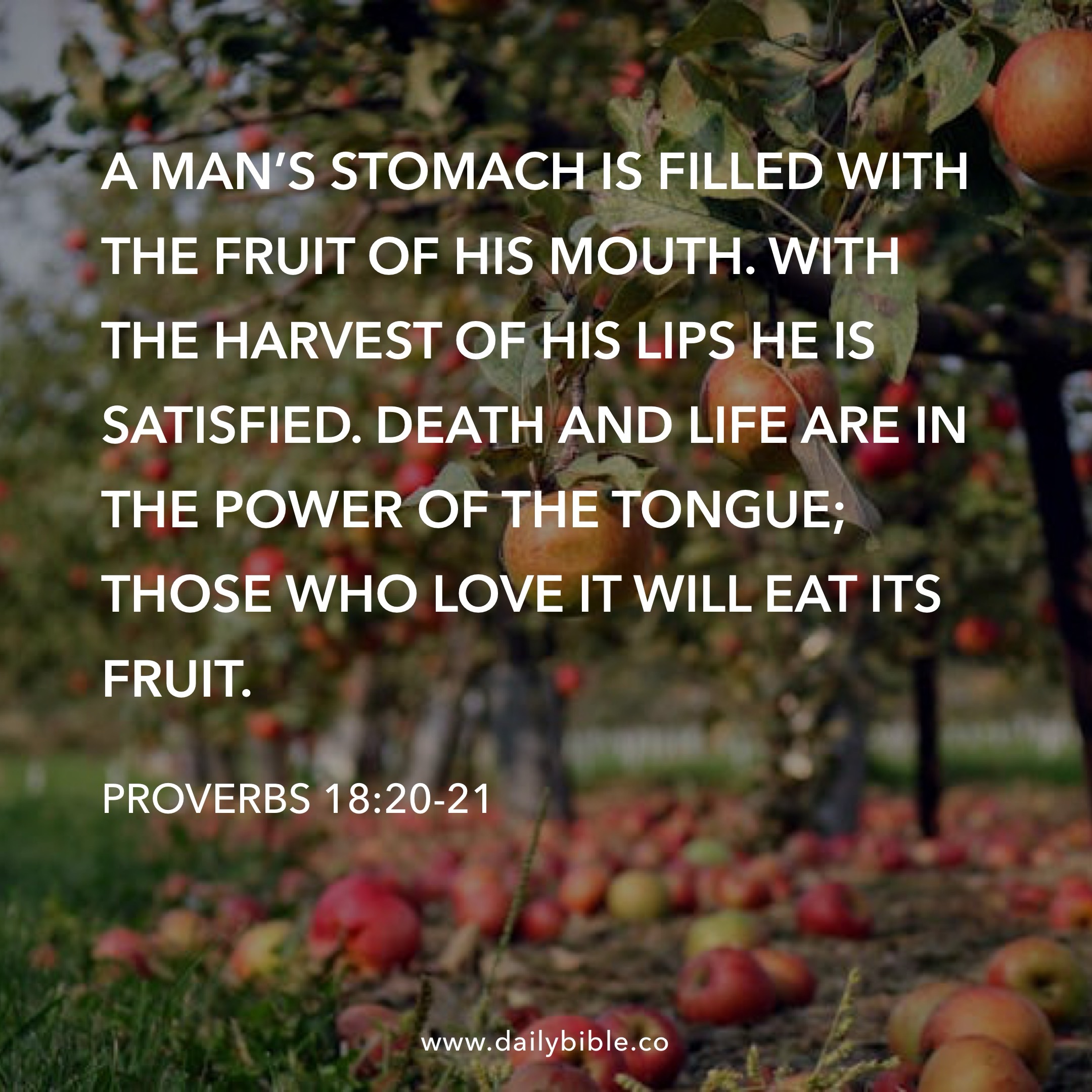 Preview of 091de276a645-jpg