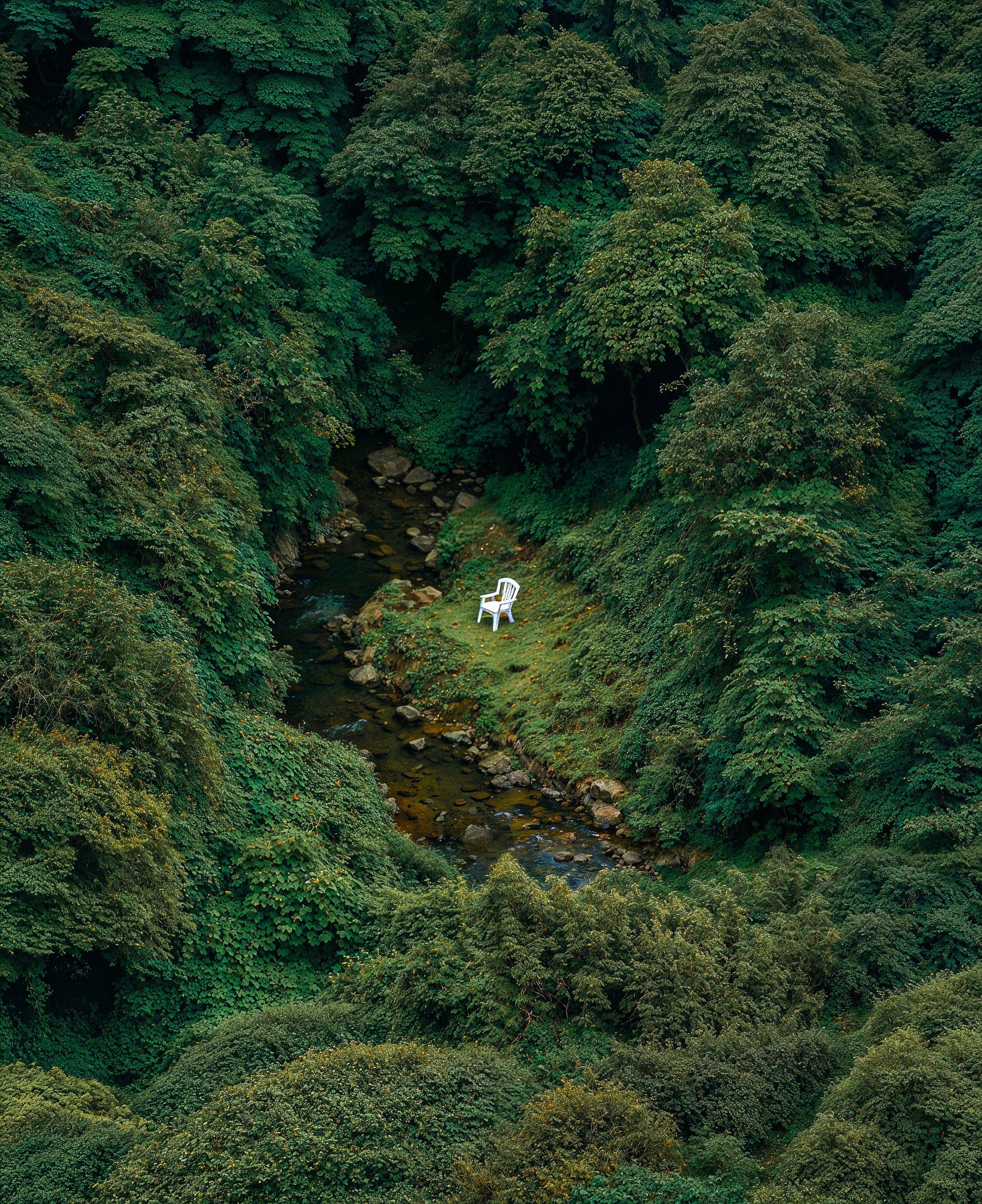 Preview of d89f81484361-jpg