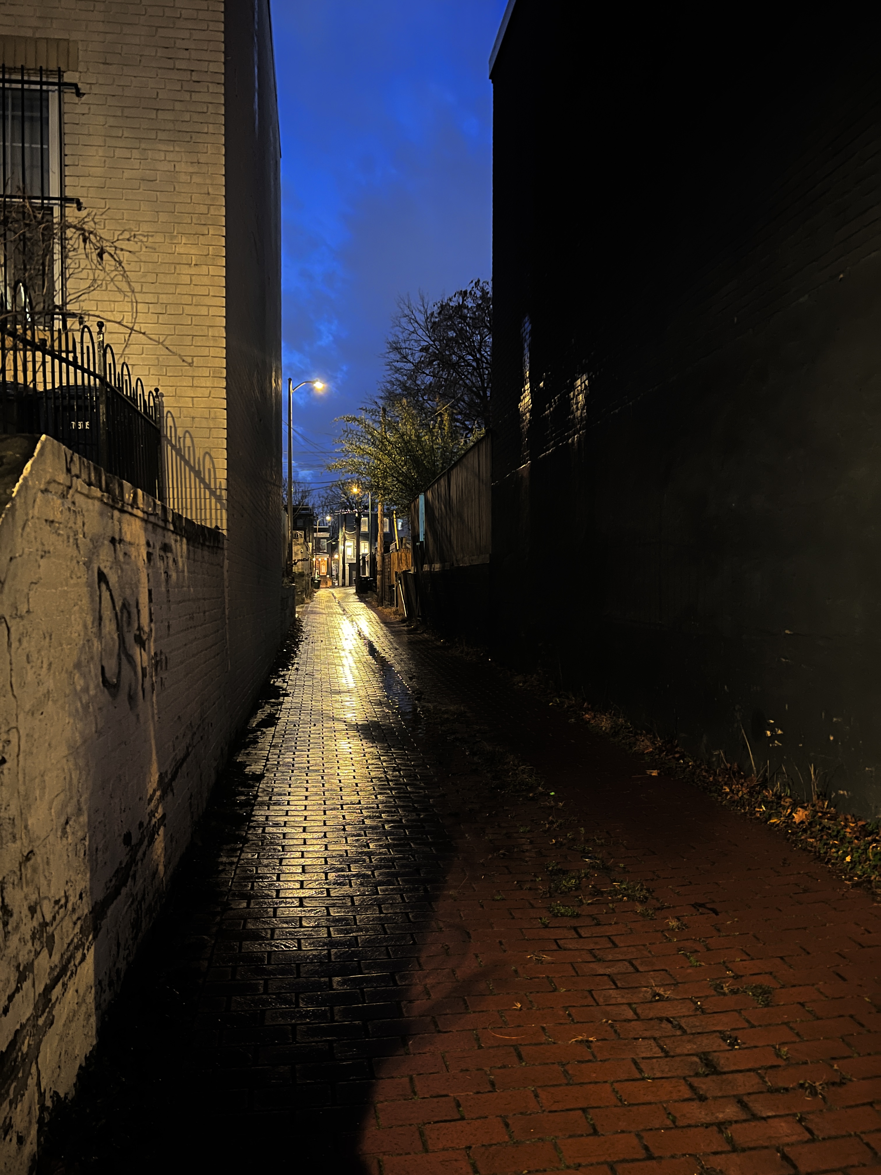 Preview of 2476-jpeg-6fd187bab4614fc3