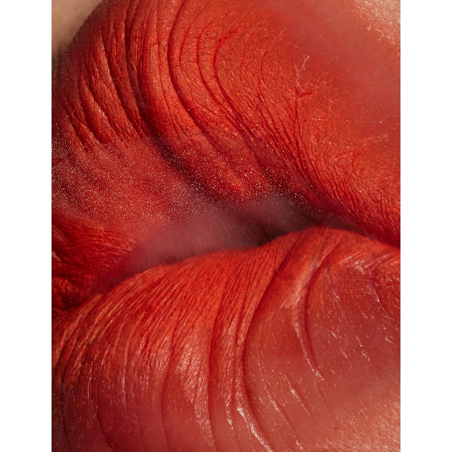 Thumbnail of Image