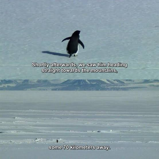 Thumbnail of Bluesky