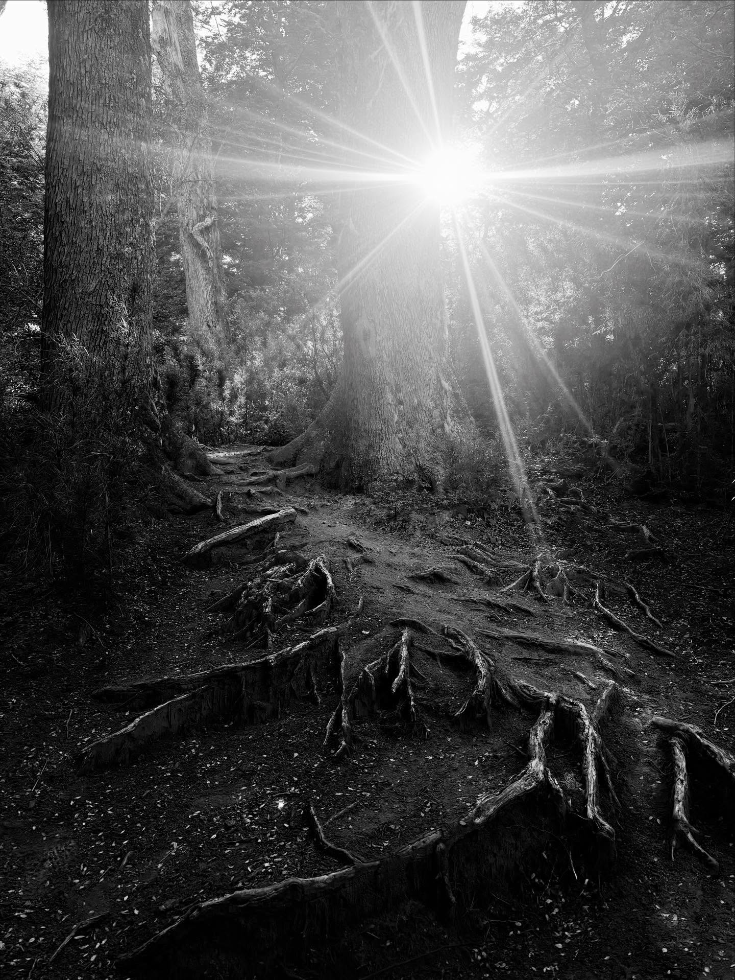 Thumbnail of Psalm 27:1-2 Except the Lord build the house, they labour in vain that build it: except the Lord keep the city, the