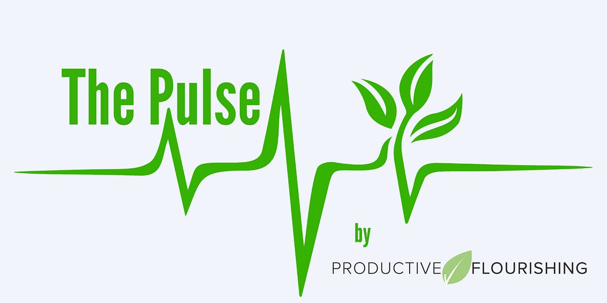 Thumbnail of What Can We Let Go Of? (Productive Flourishing Pulse #496)