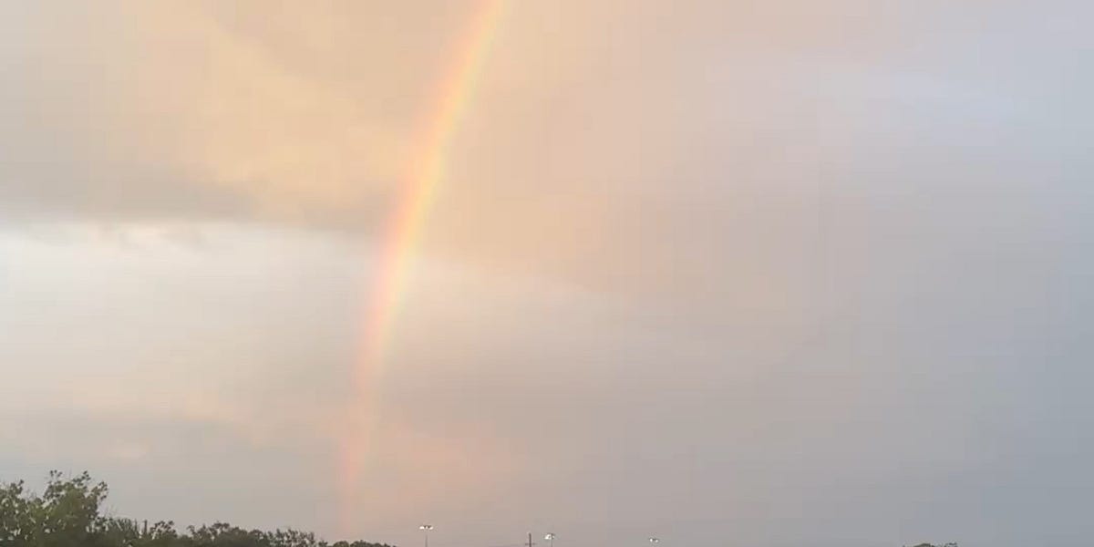 Thumbnail of A life in constant potential.