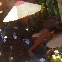 Thumbnail of IBAN LITERATURE