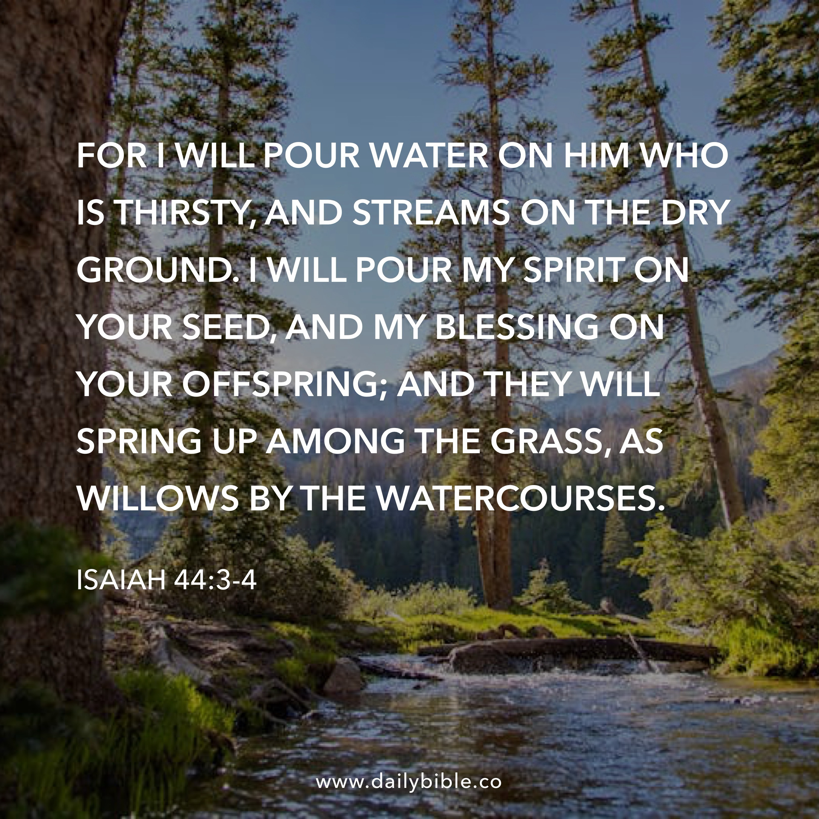 Preview of 2ed110dcafe8-jpg