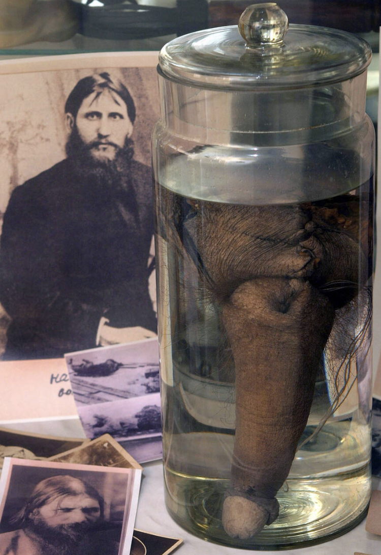 Thumbnail of Did this 12-inch pickled penis belong to Rasputin? The mystery of the 'mad monk' and the gigantic genitals — BBC History Magazine