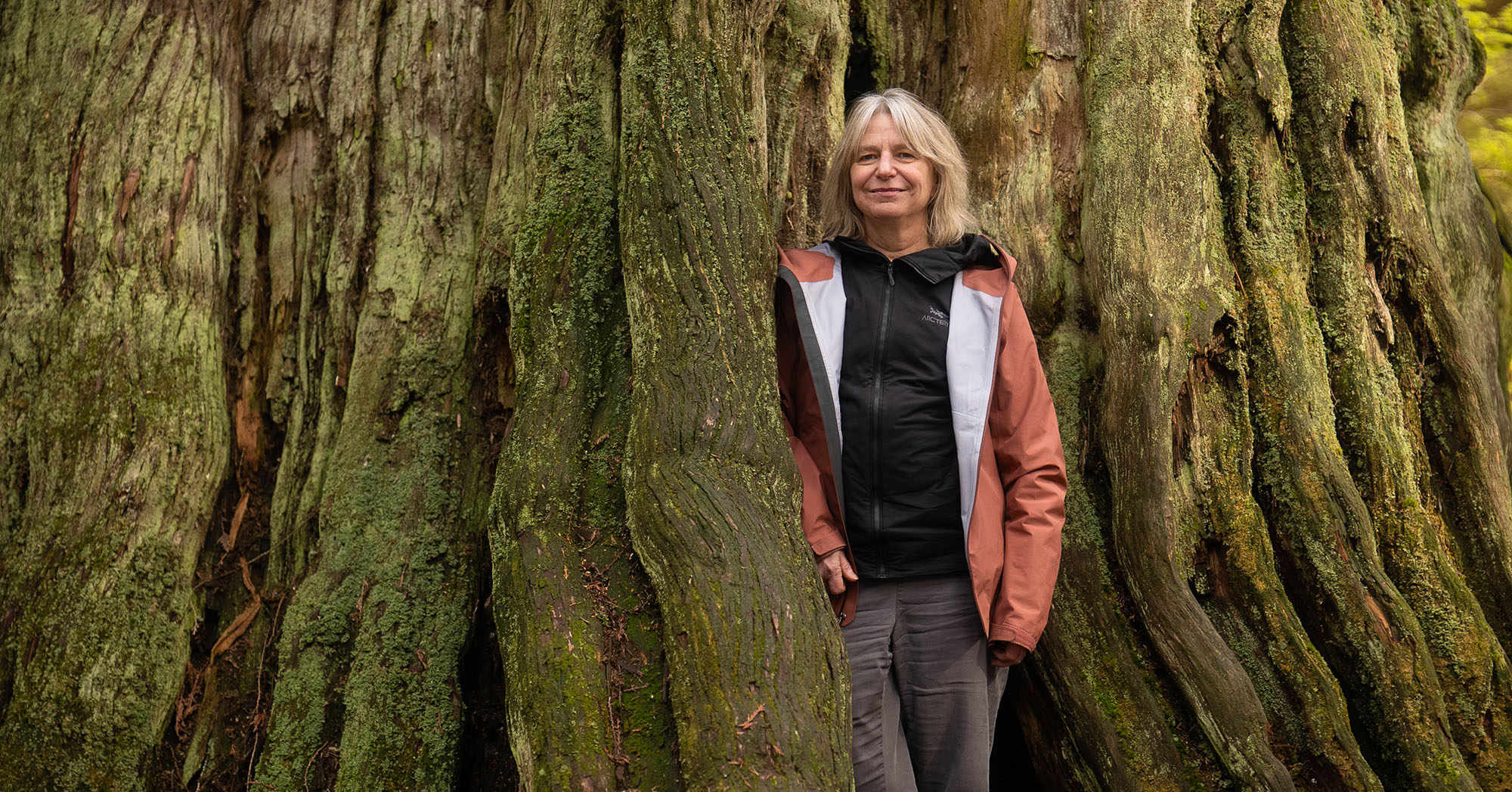 Thumbnail of The Scaffolding of Life – with Suzanne Simard