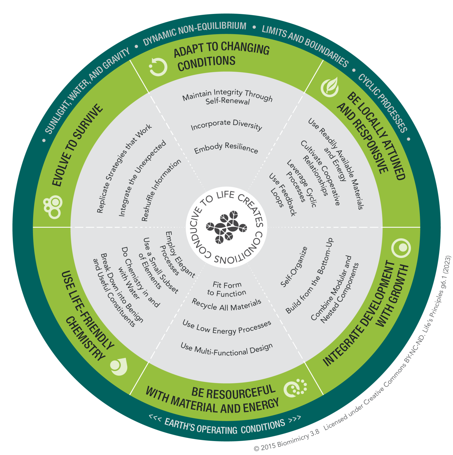 Thumbnail of DesignLens: Life's Principles - Biomimicry 3.8