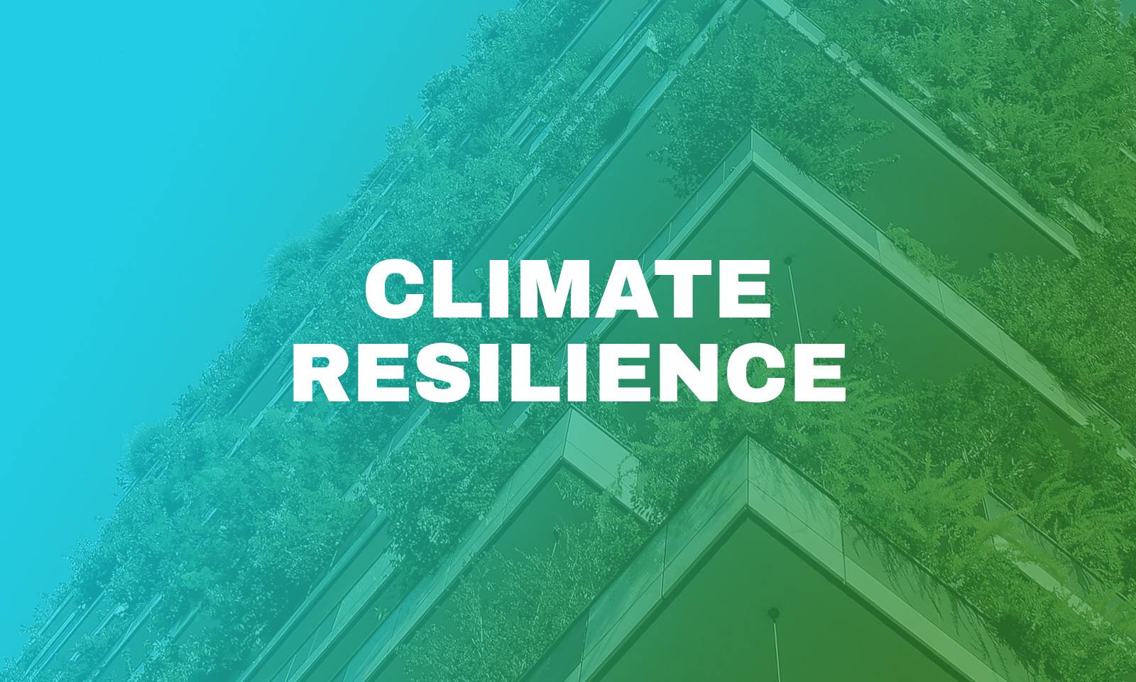 Thumbnail of Climate Designers Monthly: Climate Resilience