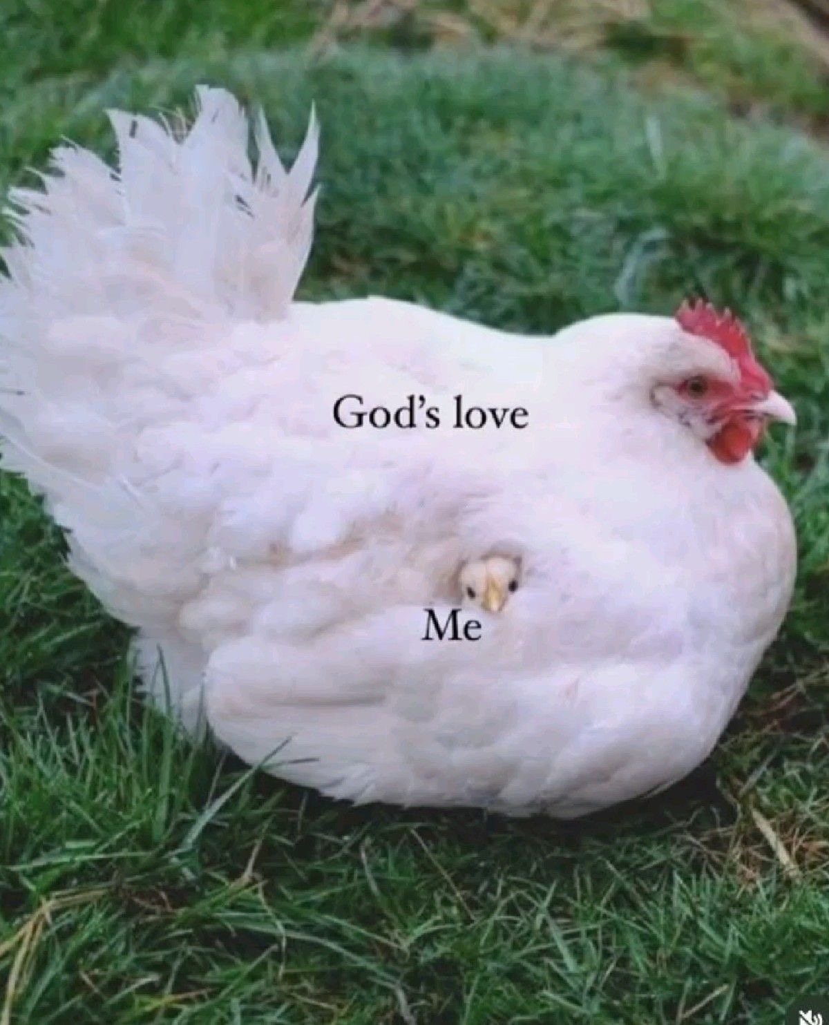 Preview of e6517a832b89-jpg