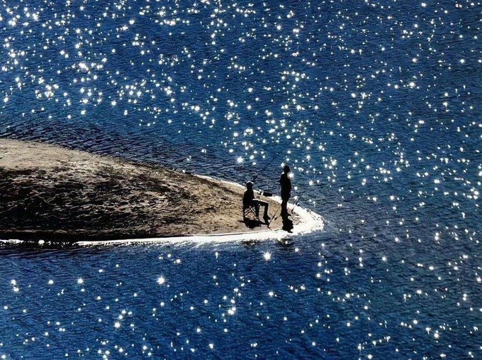 Thumbnail of The Art of Disappearing and Starting Over