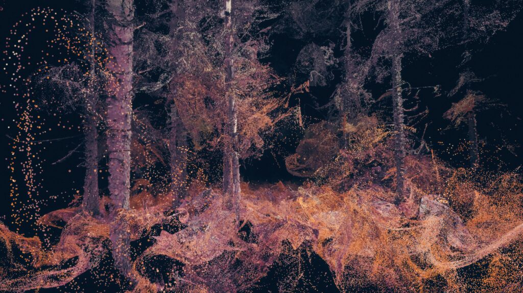 Thumbnail of In the Eyes of the Animal