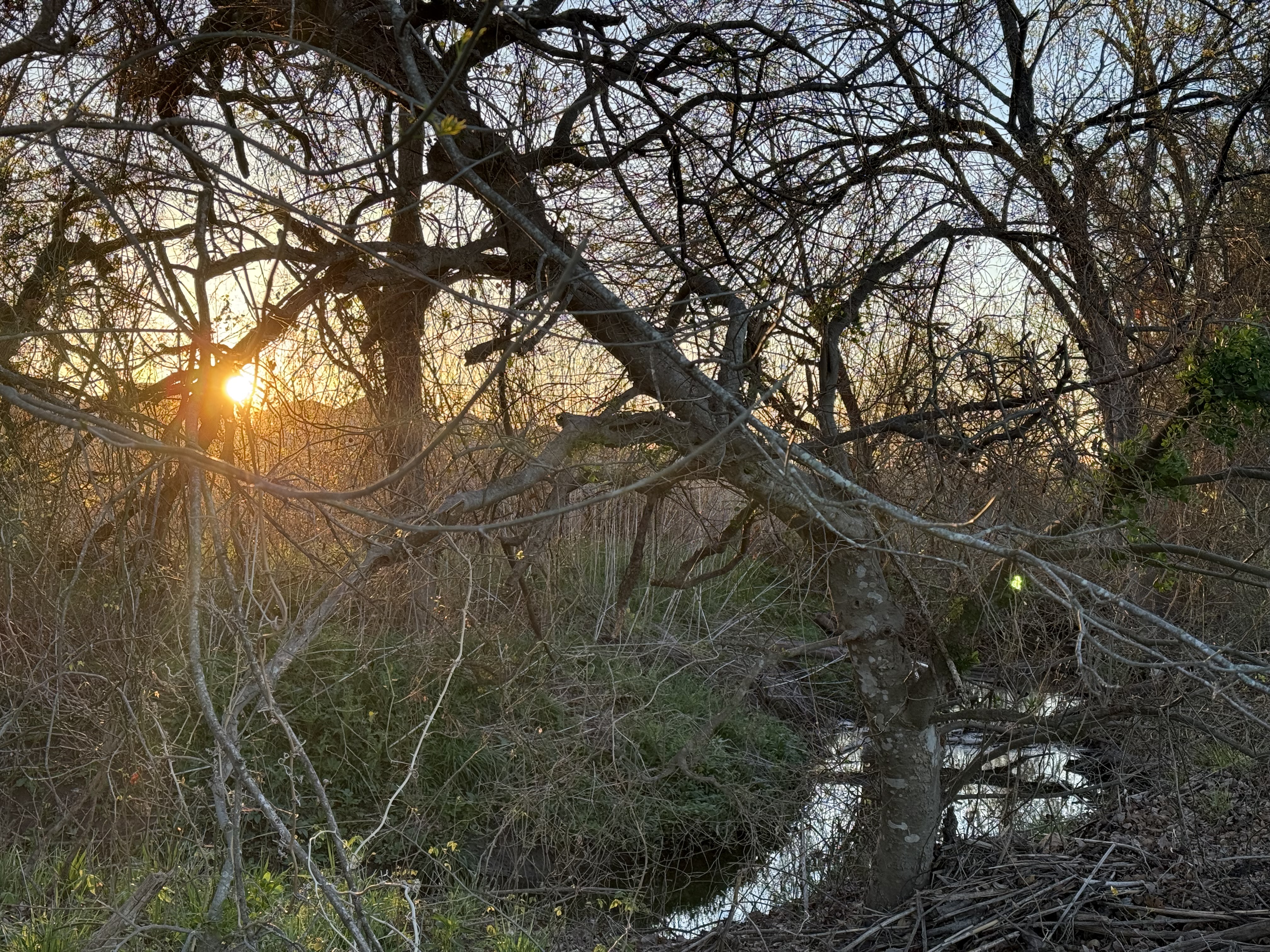 Preview of c68242c692df-jpeg