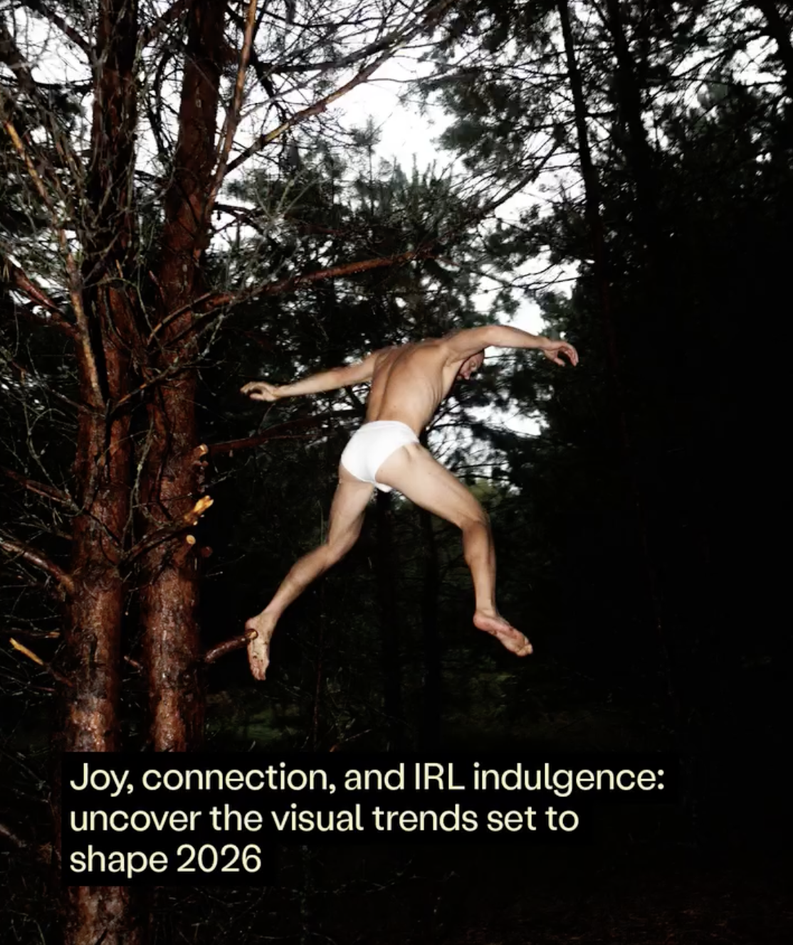 Preview of stocksyunited-png