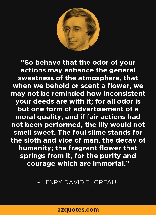 Thumbnail of Henry David Thoreau Quote