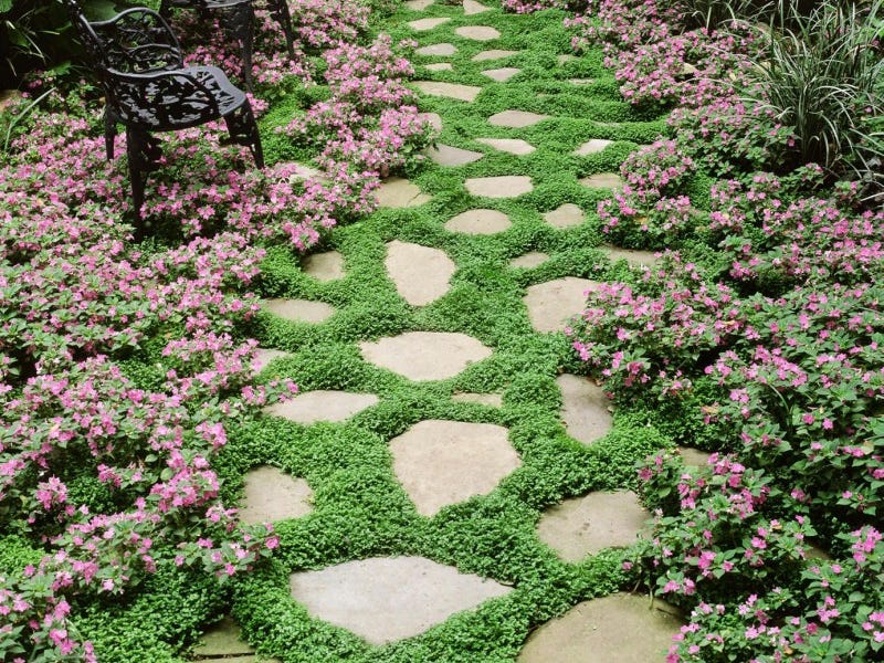 Thumbnail of is performative offline the new performative online?