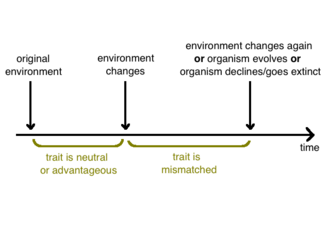 Thumbnail of Evolutionary mismatch