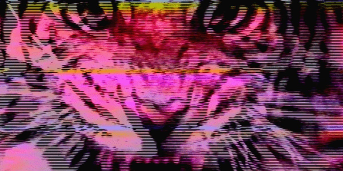 Thumbnail of Feral Philosophies