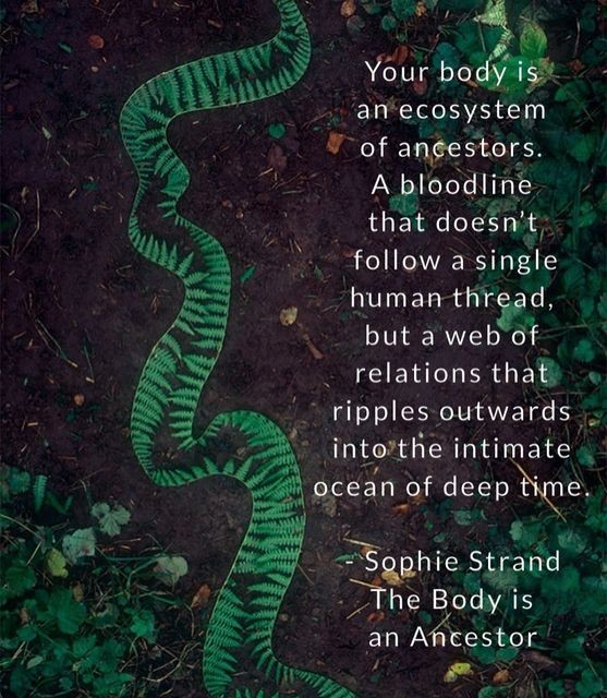 Thumbnail of Found on Cosmos
