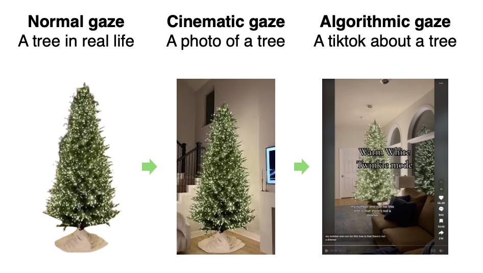 Thumbnail of the "algorithmic gaze" affects everything you see online