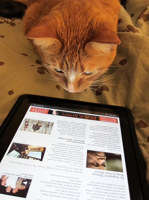 Thumbnail of Note-Taking when Reading the Web and RSS