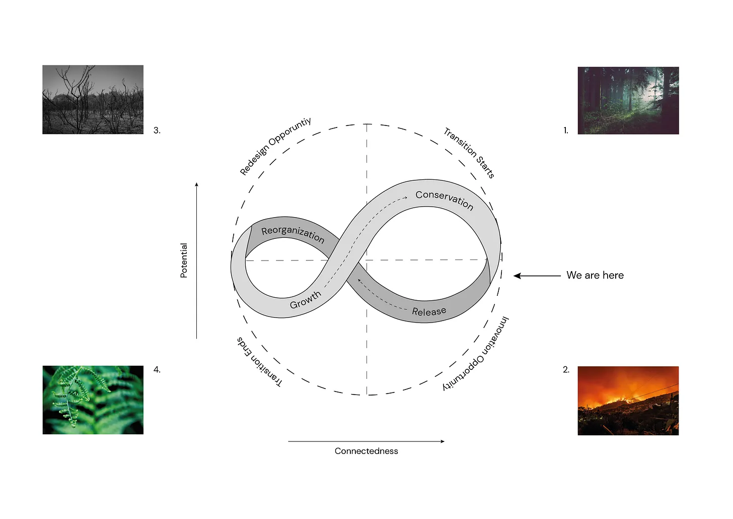 Thumbnail of How to Build Resilience in a Changing World