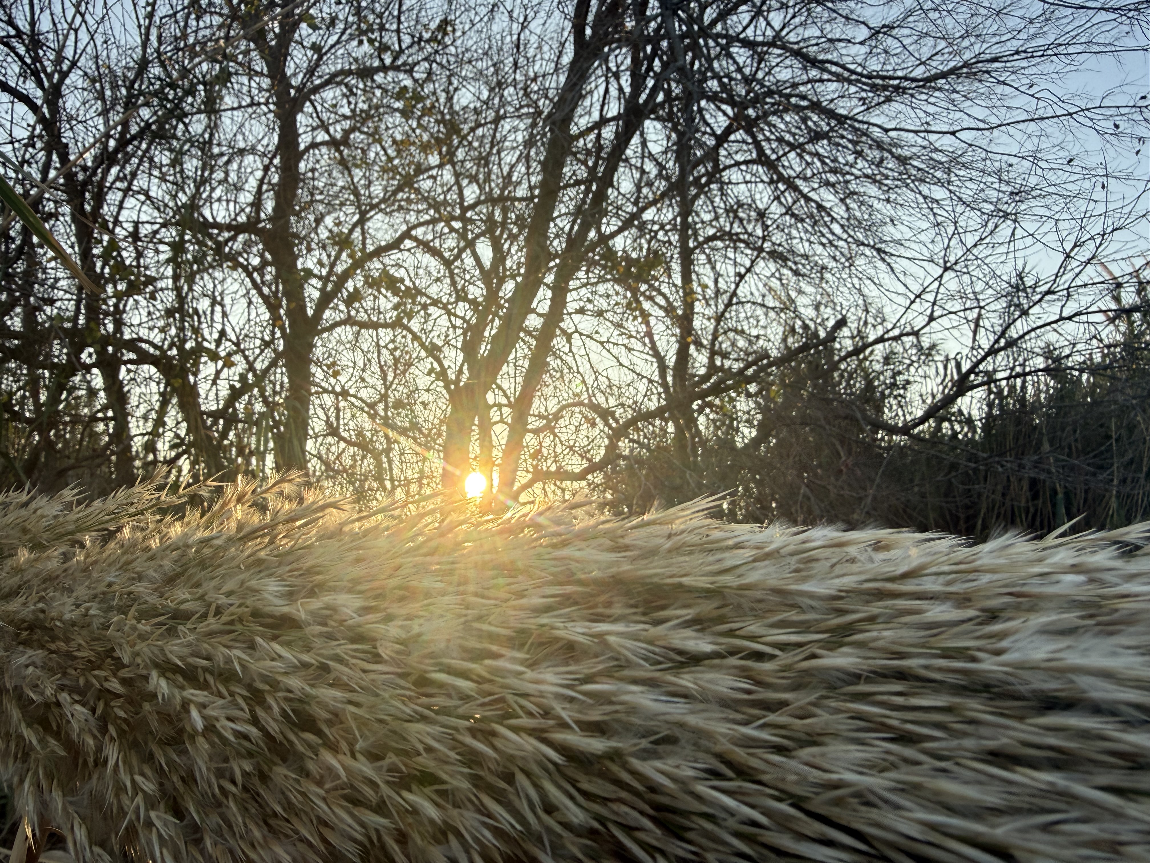 Preview of 3c96a85ea018-jpeg