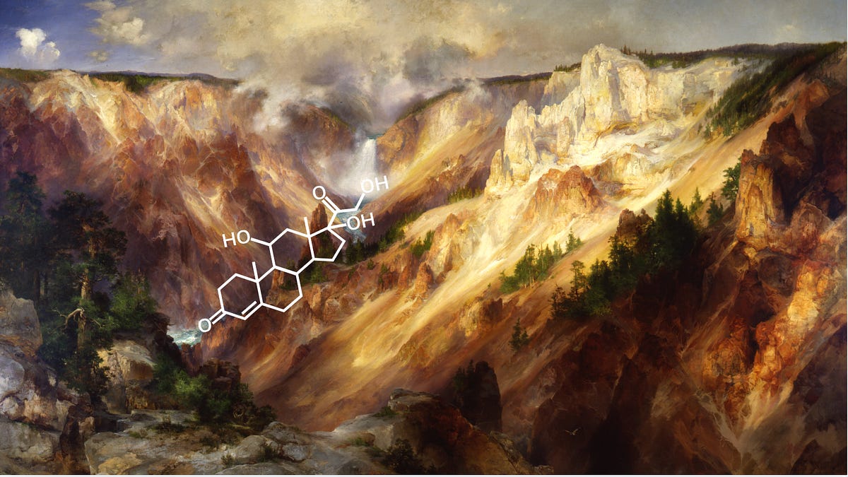 Thumbnail of Cortisol Is a Bad Metaphor for Stress