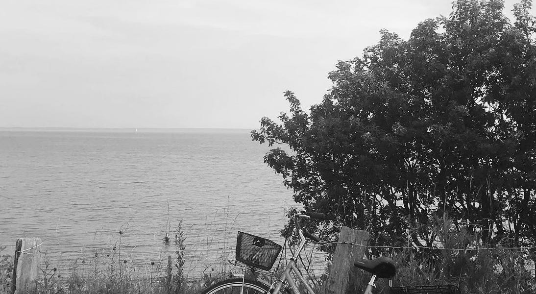 Thumbnail of THE BUBBLE THEORY