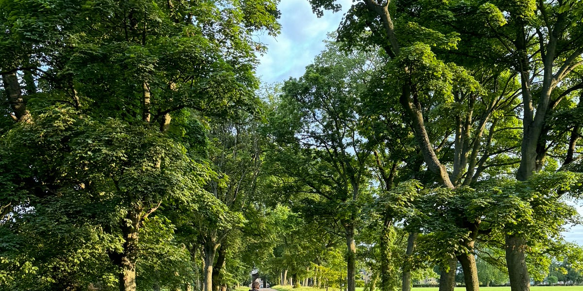 Thumbnail of Devotion is a choice